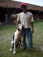 Blue with Luis the stable boy